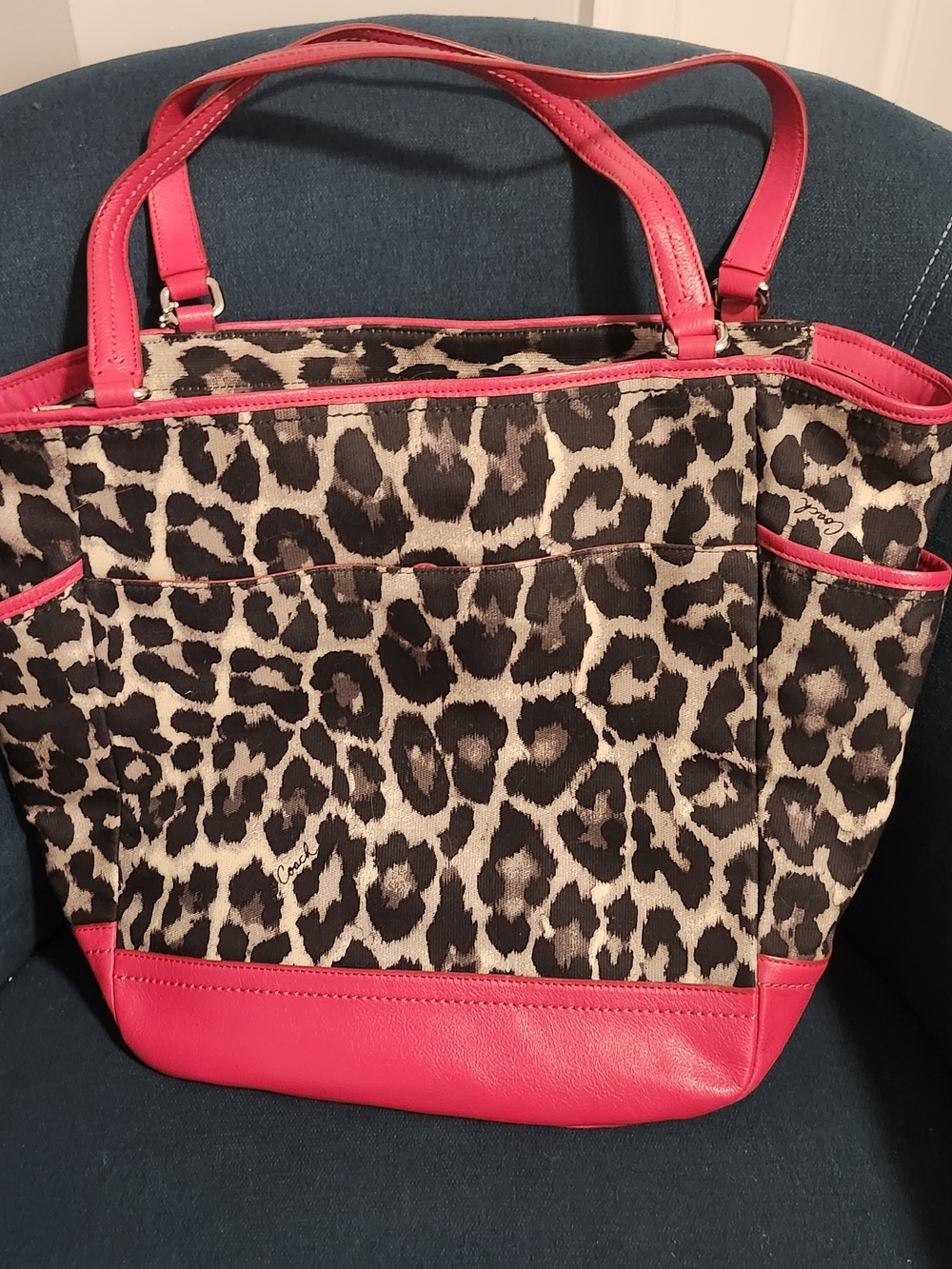 Coach Park Ocelot Leopard Print Tote E1320-F25178